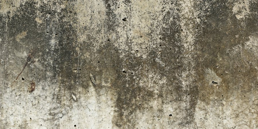 Professional Mold Inspection & Air Quality Testing in Memorial, Houston